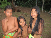 embera